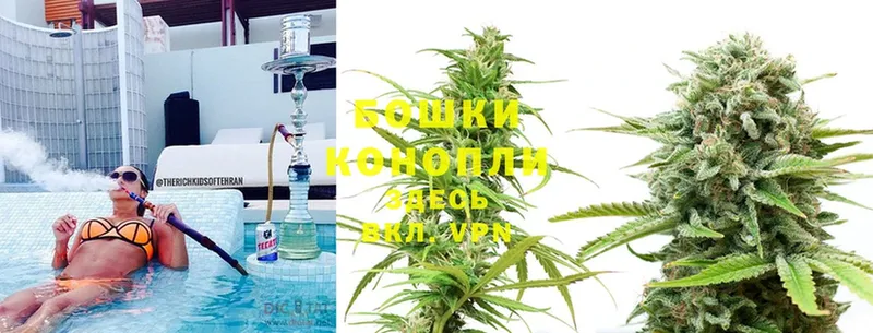 где найти наркотики  Нефтегорск  Конопля THC 21% 